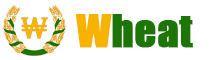 wz-logo-1