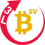 bsv3l-1