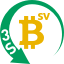 bsv3s-1