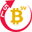 bsv5l-1